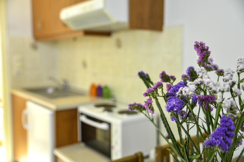 Helios Apartments 플라키아스 객실 사진